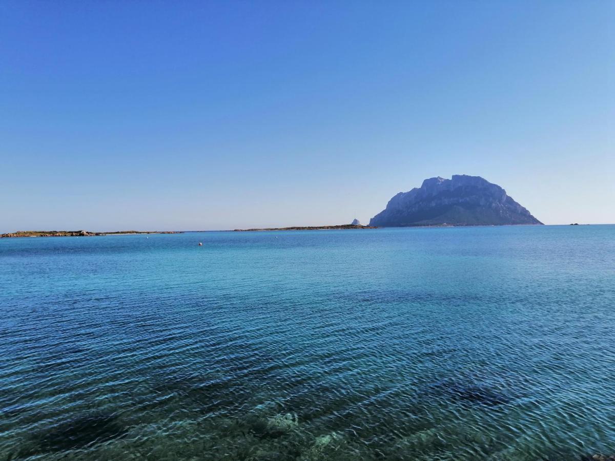 Aria Di Vacanza - Molara Loiri Porto San Paolo Kültér fotó
